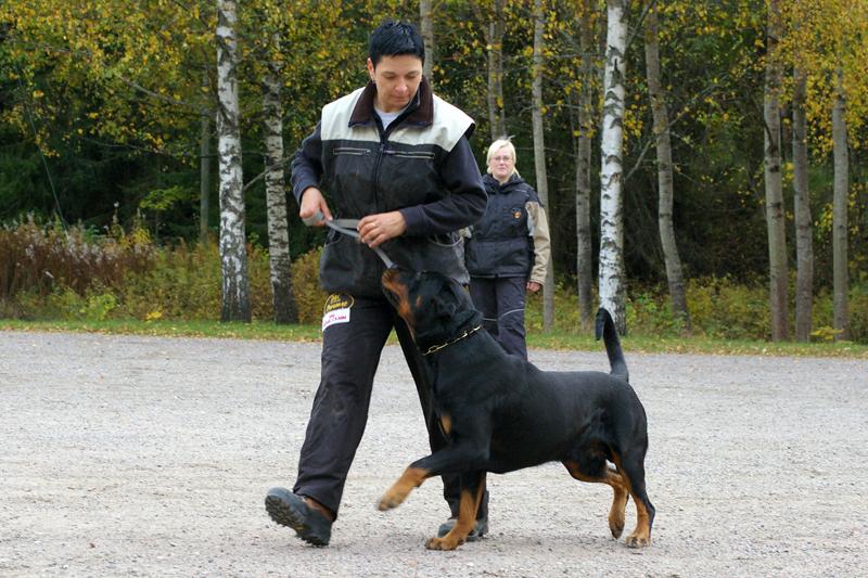PK kurssi (30).jpg
